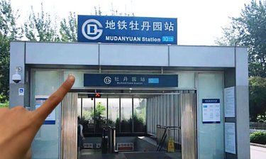 牡丹园支棱起来了？？