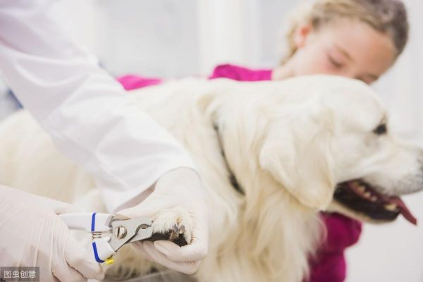 宠物火化利润_宠物火化挣钱吗_宠物火化设备多少钱