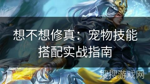 想不想修真：宠物技能搭配实战指南
