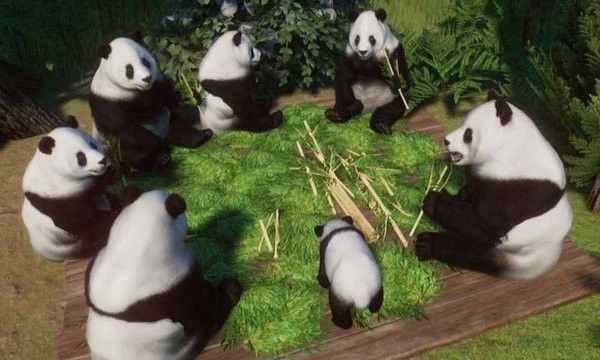 宠物成精啦游戏