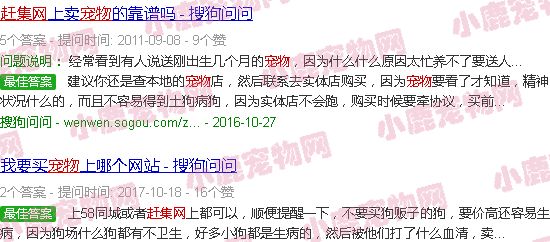 宠物网店市场赶集网