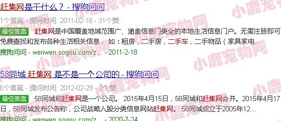 赶集网领养猫