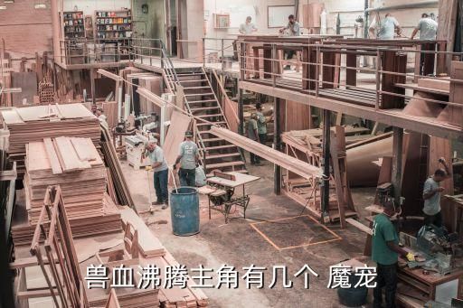 兽血沸腾主角有几个 魔宠