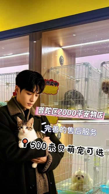 普陀新开宠物店探店 | 爱宠人士的福音 