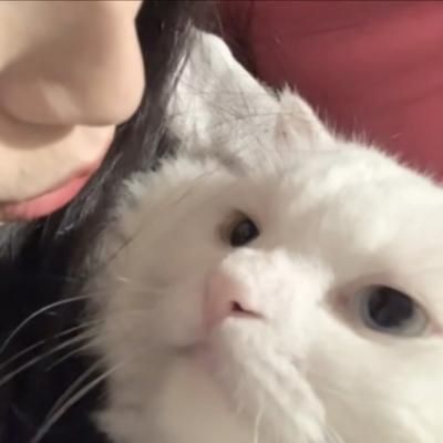 女生抱猫咪头像情侣