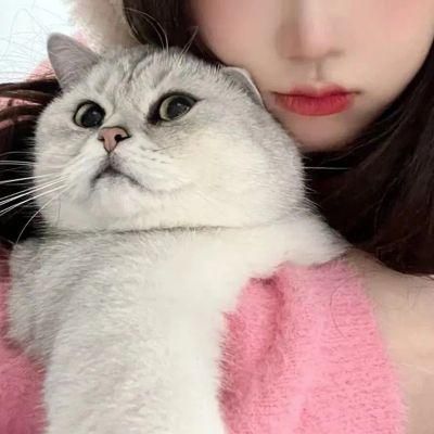 女生抱猫咪头像情侣