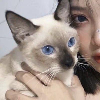 女生抱猫咪头像情侣