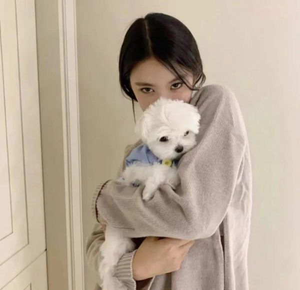 宠物头像女生 宠物头像女生专用