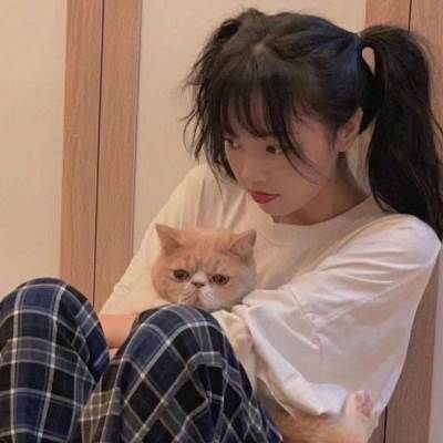 宠物头像女生 宠物头像女生专用