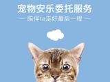 保山哪可以火化宠物,保山市本地宠物无害化处理