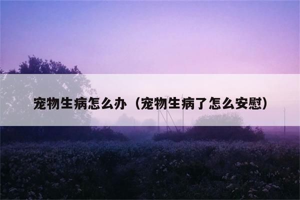 宠物生病咋么办（宠物生病了咋么安慰）