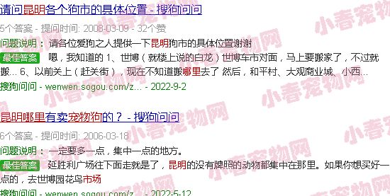 昆明宠物狗市场在哪里