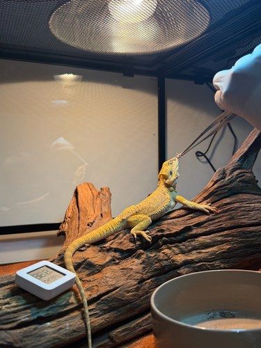 别不信！魔都遛娃轻松到next leve了