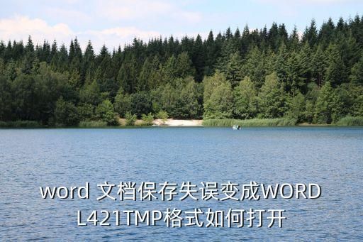 421文档,什么是DOC文档都包括什么类型的