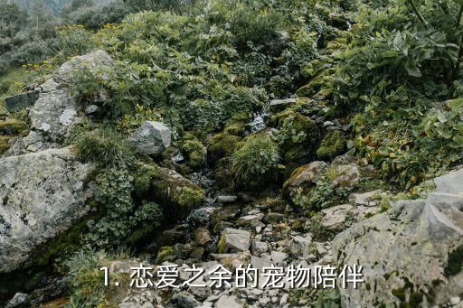 1. 恋爱之余的宠物陪伴