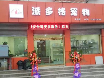 想开宠物店，成都开宠物店要办健康证吗？