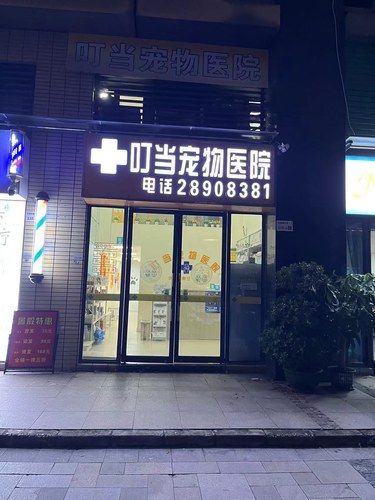 叮当宠物医院，毛孩子的守护天使。