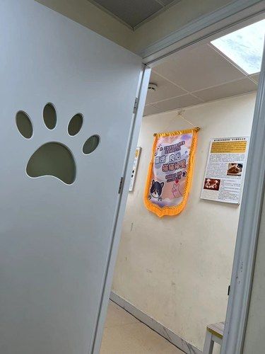 叮当宠物医院，宠物的健康守护专家