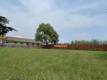 杭州临平训犬上门训练 宠物犬坏习惯纠正 宠物训练