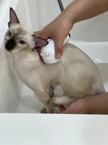 洗个澡也能美美的