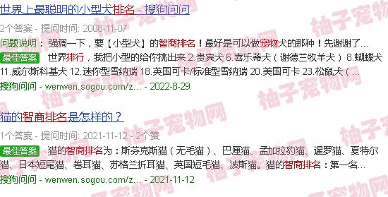 智商高的宠物排行
