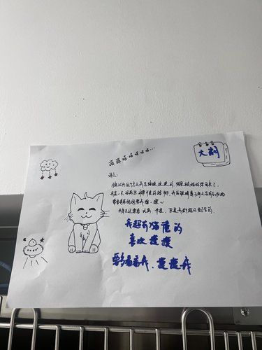 养宠人真的看不得这种