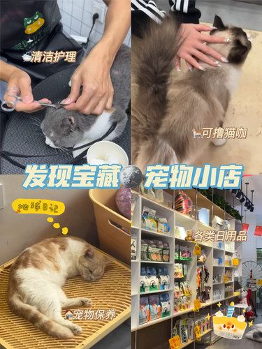 在武汉带着猫猫去附近洗澡就能发现。。。。。