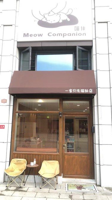 专业洗猫家人们闭眼冲