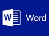 WORD教程
