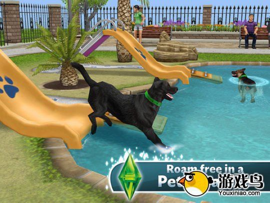 the-sims-pet