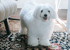 修身课是什么意思