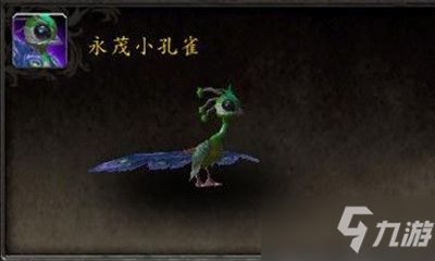 《魔兽世界》宠物永茂小孔雀获取攻略