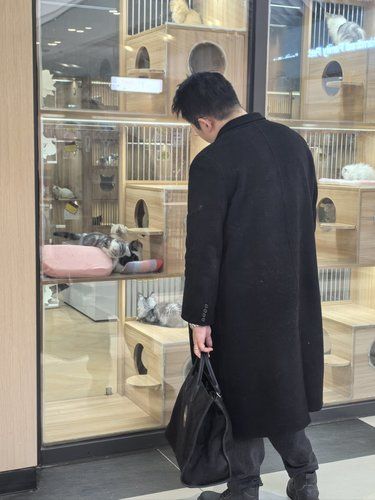 就为了不同意养猫，给我提分手，你有种[发怒][发怒]