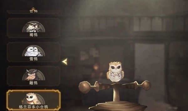 哈利波特魔法觉醒宠物怎么获得2