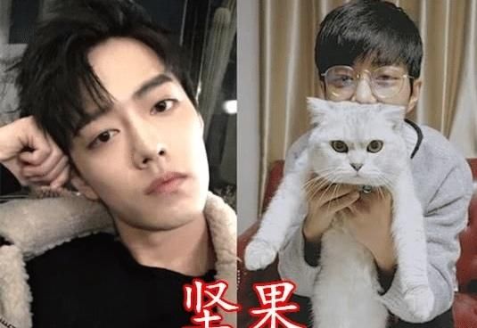 男星“宠物名”有多秀？肖战叫坚果，千玺叫二十，朱一龙有点厉害