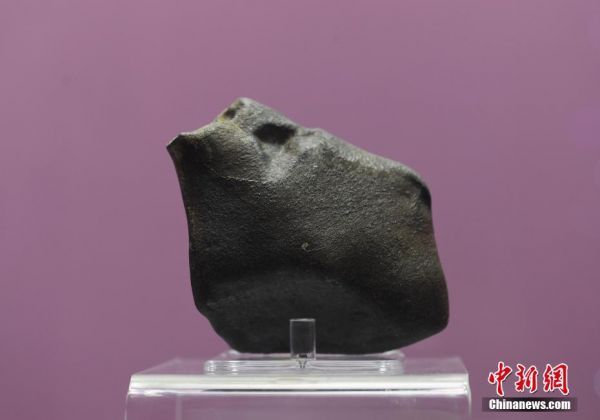 胜率最高㊥金星老版本jxzb_海关宠物新政明起施行,符合条件汪星人喵星人可直接入境!