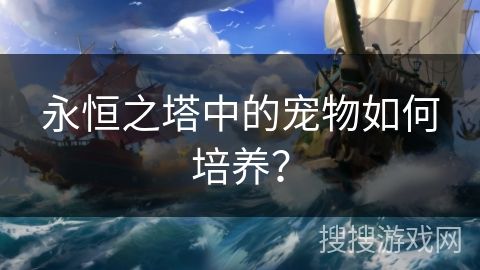 永恒之塔中的宠物如何培养？