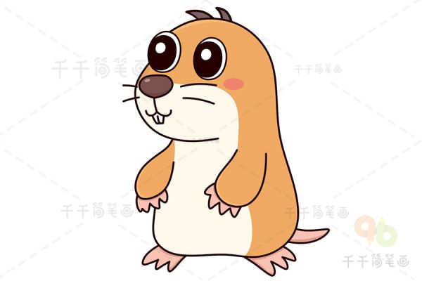 鼹鼠的简笔画步骤_陆地动物简笔画