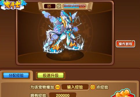 龙斗士宠物经验活动