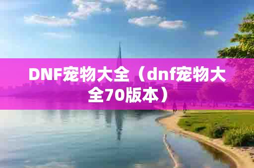 DNF宠物大全（dnf宠物大全70版本）
