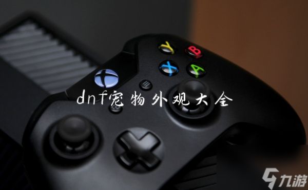 dnf宠物外观大全
