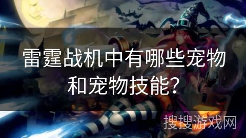 雷霆战机中有哪些宠物和宠物技能？