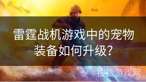 雷霆战机游戏中的宠物装备如何升级？