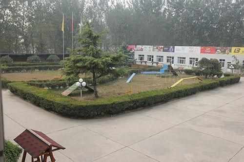 宠物美容学校的C级宠物美容师课程是学什么