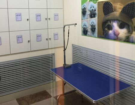 圣宠宠物威海海韵华府宠物店
