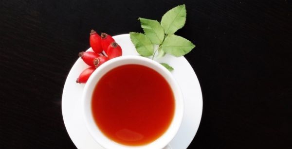 金蟾用什么水养，活的金蟾茶宠物能养吗 - 鸿宝源茶叶