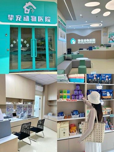 河源宠物医院|专业又明码标价‼️
