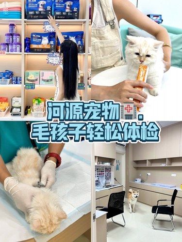 在河源！我会放心带毛孩子去的！！ 