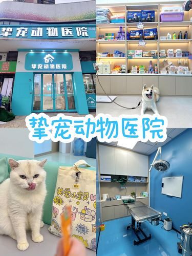 看过来‼️河源也有挚宠动物医院啦 