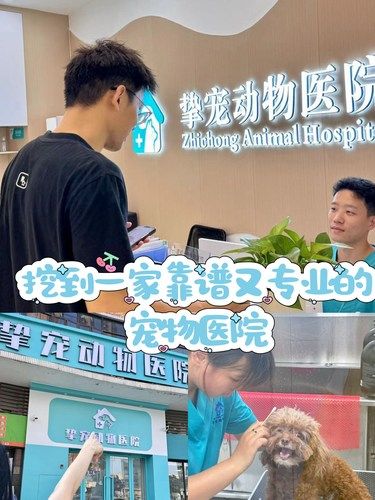 挖到一家靠谱又专业的宠物